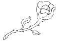 rose logo
